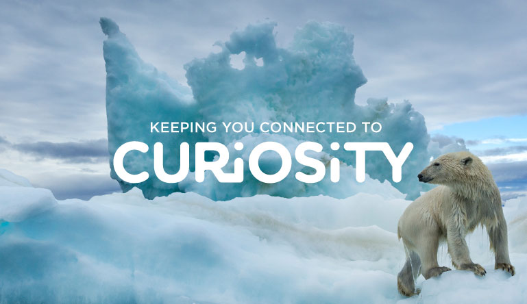 v1 Curiosity Press Release Imgs 100620 Curiosity 2